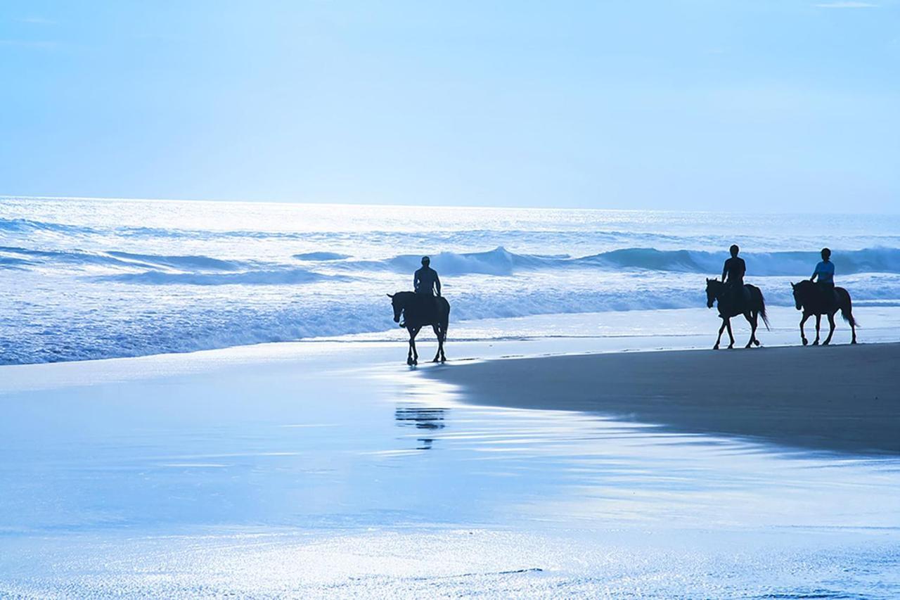 Luxury Beachfront Penthouse Walk To The Beach Restaurants Entertainment Half Moon Bay Exteriér fotografie